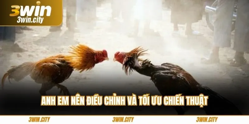 Anh em nên điều chỉnh và tối ưu chiến thuật