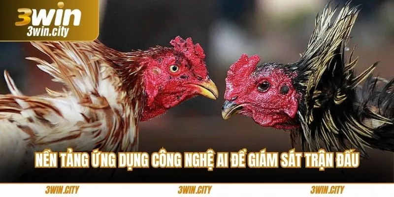 Nền tảng ứng dụng công nghệ AI để giám sát trận đấu