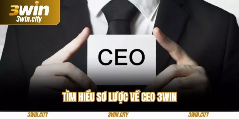Tìm hiểu sơ lược về ceo 3win
