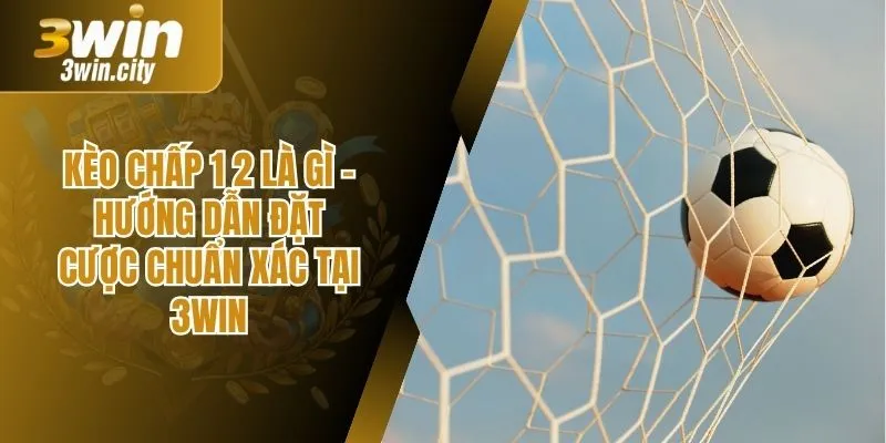 Kèo Chấp 1 2 Là Gì – Hướng Dẫn Đặt Cược Chuẩn Xác Tại 3Win